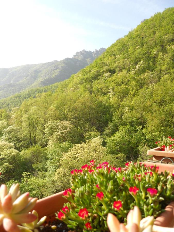 B&B Rossociliegia Colletta Exterior foto
